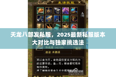 天龙八部发私服,2025最新私服版本大对比与独家挑选法 天龙八部发私服,2025最新私服版本大对比与独家挑选法