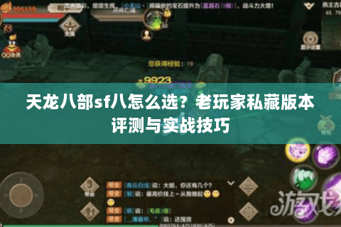 天龙八部sf八怎么选？老玩家私藏版本评测与实战技巧