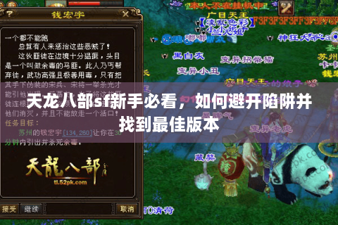天龙八部sf新手必看，如何避开陷阱并找到最佳版本