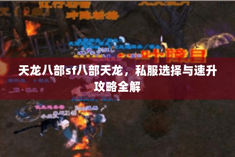 天龙八部sf八部天龙，私服选择与速升攻略全解