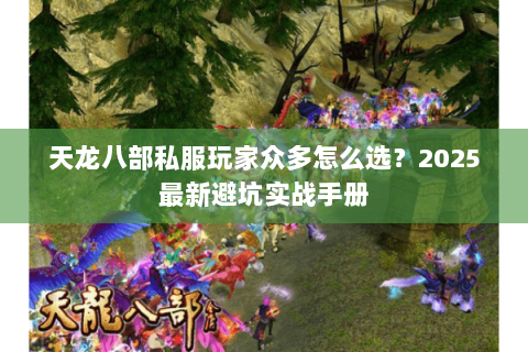 天龙八部私服玩家众多怎么选？2025最新避坑实战手册