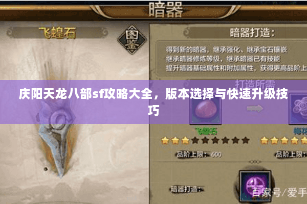 庆阳天龙八部sf攻略大全，版本选择与快速升级技巧