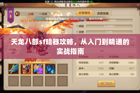 天龙八部sf暗器攻略，从入门到精通的实战指南