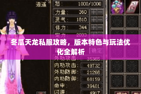 冬瓜天龙私服攻略，版本特色与玩法优化全解析