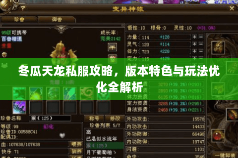 冬瓜天龙私服攻略，版本特色与玩法优化全解析