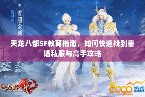天龙八部SF教育指南，如何快速找到靠谱私服与高手攻略