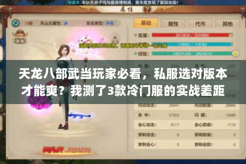 天龙八部武当玩家必看，私服选对版本才能爽？我测了3款冷门服的实战差距