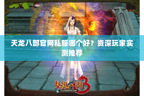 天龙八部官网私服哪个好？资深玩家实测推荐