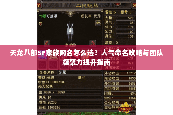 天龙八部SF家族网名怎么选？人气命名攻略与团队凝聚力提升指南