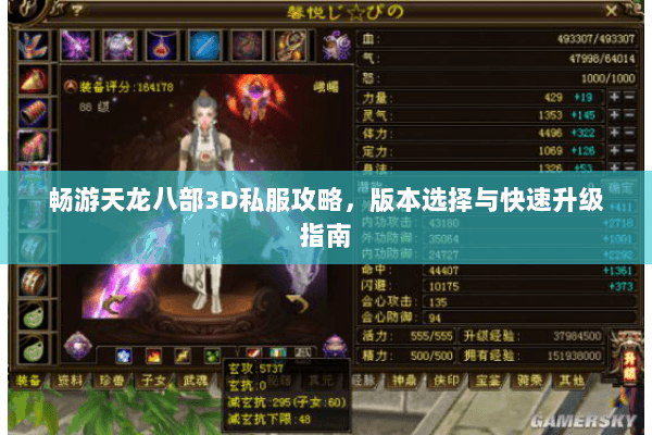 畅游天龙八部3D私服攻略，版本选择与快速升级指南