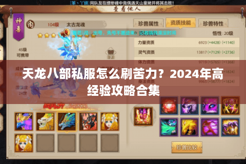 天龙八部私服怎么刷苦力？2024年高经验攻略合集
