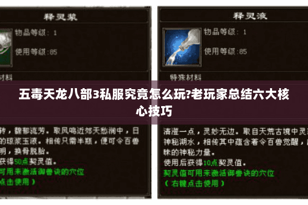 五毒天龙八部3私服究竟怎么玩?老玩家总结六大核心技巧