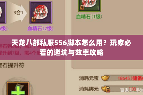 天龙八部私服556脚本怎么用？玩家必看的避坑与效率攻略