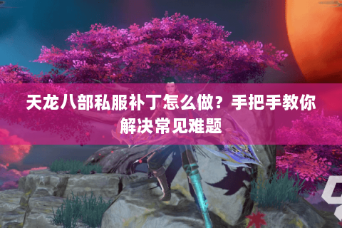 天龙八部私服补丁怎么做？手把手教你解决常见难题