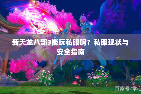 新天龙八部3能玩私服吗？私服现状与安全指南