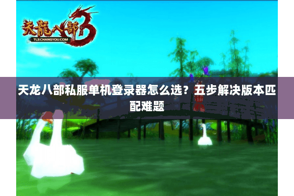 天龙八部私服单机登录器怎么选？五步解决版本匹配难题