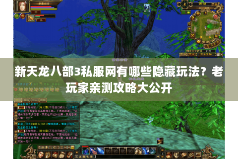 新天龙八部3私服网有哪些隐藏玩法？老玩家亲测攻略大公开