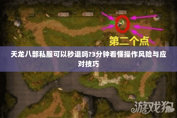 天龙八部私服可以秒退吗?3分钟看懂操作风险与应对技巧