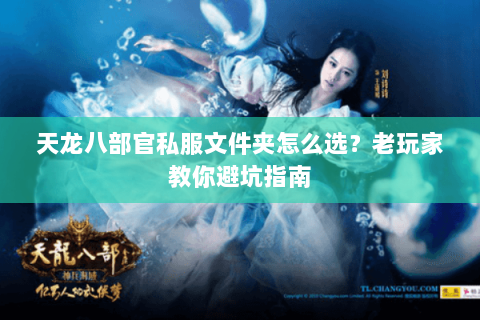 天龙八部官私服文件夹怎么选？老玩家教你避坑指南