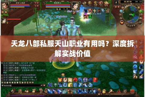天龙八部私服天山职业有用吗？深度拆解实战价值