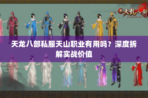 天龙八部私服天山职业有用吗？深度拆解实战价值