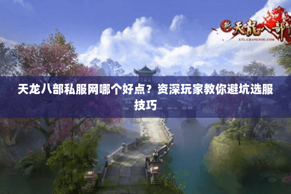 天龙八部私服网哪个好点？资深玩家教你避坑选服技巧