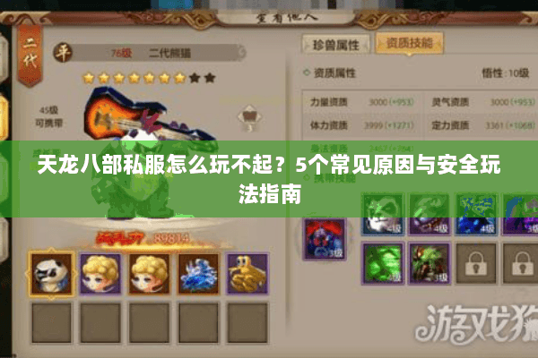 天龙八部私服怎么玩不起？5个常见原因与安全玩法指南