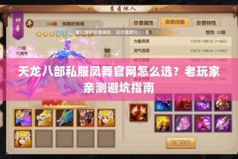 天龙八部私服凤舞官网怎么选？老玩家亲测避坑指南