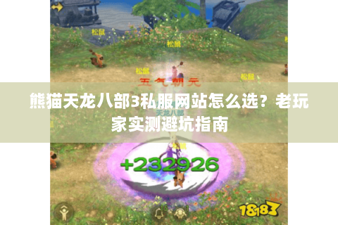 熊猫天龙八部3私服网站怎么选？老玩家实测避坑指南