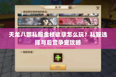 天龙八部私服金枝欲孽怎么玩？私服选择与后宫争宠攻略