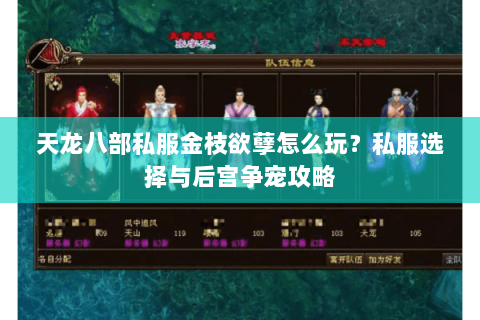 天龙八部私服金枝欲孽怎么玩？私服选择与后宫争宠攻略