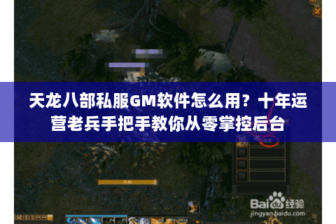 天龙八部私服GM软件怎么用？十年运营老兵手把手教你从零掌控后台
