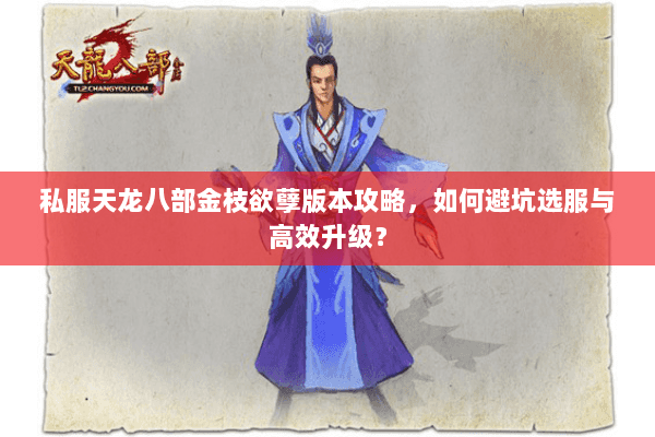 私服天龙八部金枝欲孽版本攻略，如何避坑选服与高效升级？