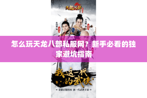 怎么玩天龙八部私服网？新手必看的独家避坑指南