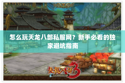 怎么玩天龙八部私服网？新手必看的独家避坑指南