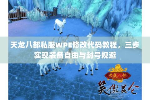 天龙八部私服WPE修改代码教程，三步实现装备自由与封号规避