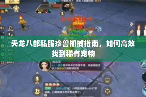 天龙八部私服珍兽抓捕指南，如何高效找到稀有宠物