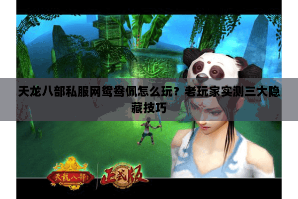 天龙八部私服网鸳鸯佩怎么玩？老玩家实测三大隐藏技巧