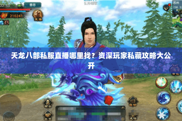 天龙八部私服直播哪里找？资深玩家私藏攻略大公开