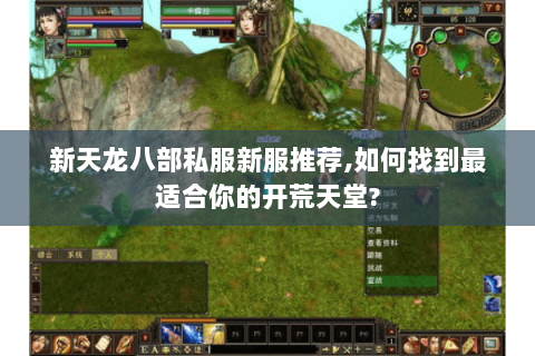 新天龙八部私服新服推荐,如何找到最适合你的开荒天堂?