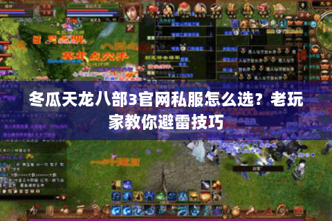 冬瓜天龙八部3官网私服怎么选？老玩家教你避雷技巧