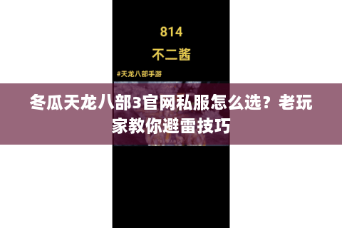 冬瓜天龙八部3官网私服怎么选？老玩家教你避雷技巧