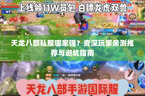 天龙八部私服哪家强？资深玩家亲测推荐与避坑指南