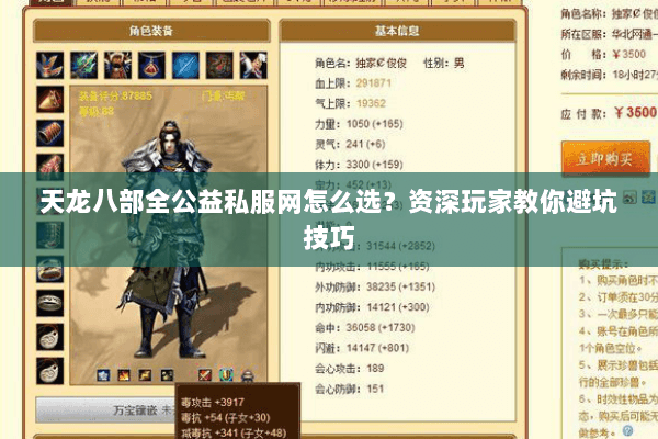 天龙八部全公益私服网怎么选？资深玩家教你避坑技巧