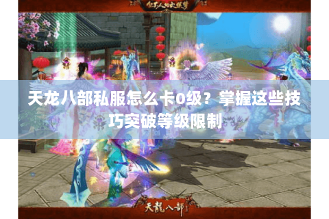 天龙八部私服怎么卡0级？掌握这些技巧突破等级限制