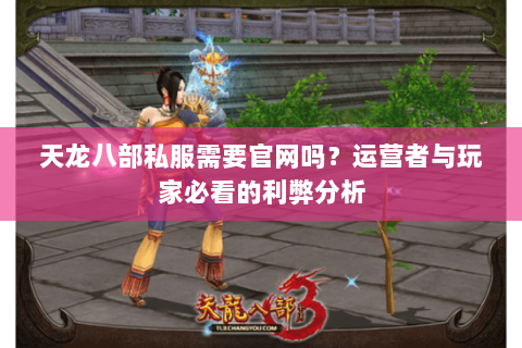 天龙八部私服需要官网吗？运营者与玩家必看的利弊分析