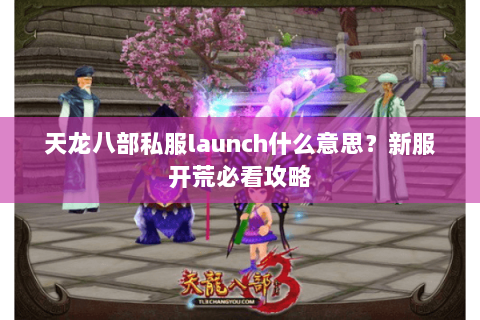 天龙八部私服launch什么意思？新服开荒必看攻略