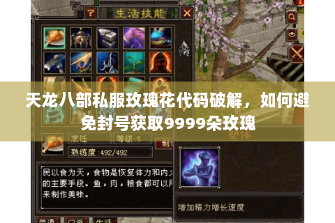 天龙八部私服玫瑰花代码破解，如何避免封号获取9999朵玫瑰