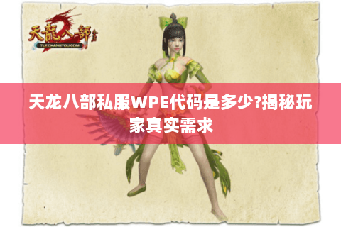 天龙八部私服WPE代码是多少?揭秘玩家真实需求