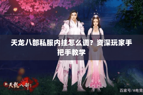 天龙八部私服内挂怎么调？资深玩家手把手教学